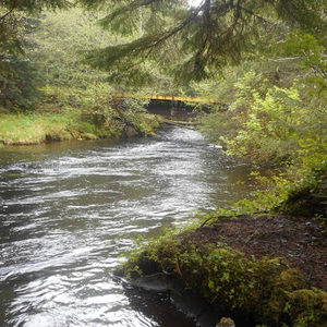 Meet your Posher, Cherry